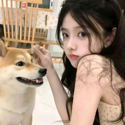 中国诗词大会第四季
